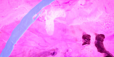 Fototapeta premium Old Paper with a Dirty Grunge Texture and Vintage Vibe