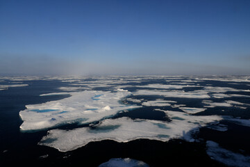 Pack ice north of Svalbard