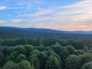 Obraz premium beauty of nature