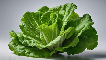 Obraz premium fresh green lettuce on wooden table