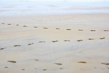 Plage et traces de pas à Saint-Malo