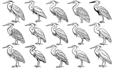 Charming Heron Coloring Page for Children, Fun Line Art of a Playful Heron, Perfect for Activity Books and Toddler Engagement. Isolated on White Background