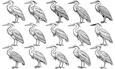 Heron Coloring Page for Kids, Adorable Line Drawing of a Graceful Heron, Perfect for Children's Activity Books and Toddler Fun. Isolated on White Background