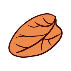 Coffee orange leaf in flat design. Abstract arabica plant for beverage. Vector illustration isolated.