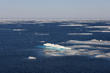 Naklejka premium Pack ice north of Svalbard