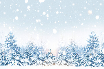 Landscape. Frozen winter forest with snow covered trees.