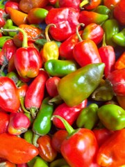 Vibrant Red and Green Fresh Chilies Spicy Feast for the Eyes