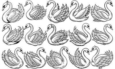 Charming Swan Coloring Page for Children, Fun Line Art of a Playful Swan, Perfect for Activity Books and Toddler Engagement. Isolated on White Background