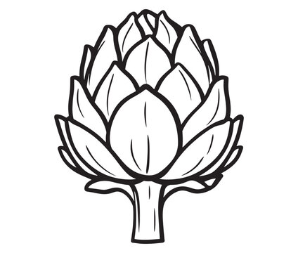 Hand drawn sketch artichoke illustration, Artichoke cartoon style vector, Artichoke vegetables icon