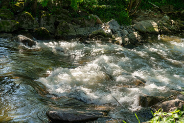 River with rapids in the forest. Sun is shining through the woods, casting some light on the white water.