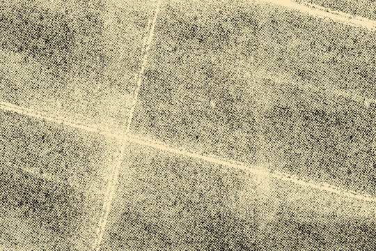 Halftone texture background. raw and vintage style