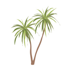 Desert palm tree in flat design. Wilderness tropical plant with green leaves. Vector illustration isolated.