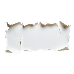Torn paper strip shows blank surface