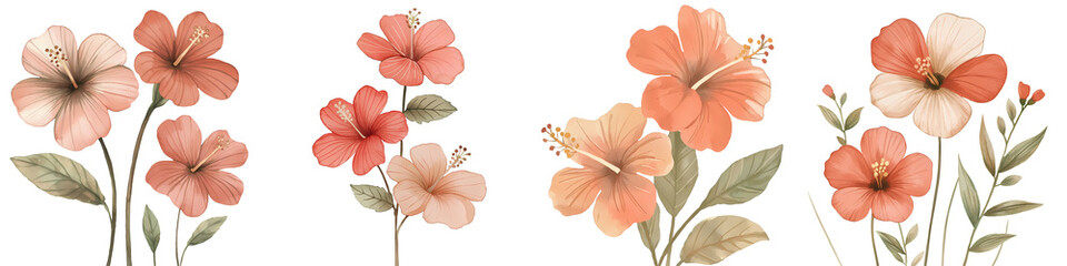A hibiscus trio watercolor vibrant red and pink petals tropical theme isolated on white and transparent background