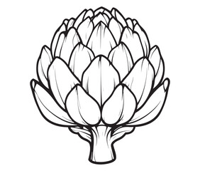 Hand drawn sketch artichoke illustration, Artichoke cartoon style vector, Artichoke vegetables icon