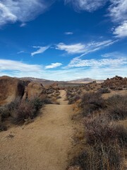 Joshua Tree National Park