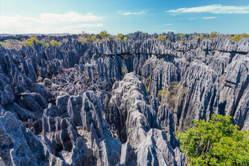 Towering limestone karst formations create the breathtaking landscape of Tsingy de Bemaraha National Park. Sharp, jagged peaks and deep canyons provide breathtaking views. Madagascar, Africa.