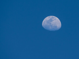 Mond