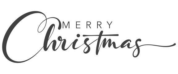 Handwritten calligraphy Merry Christmas. Vector holiday illustration element. Calligraphy Merry Christmas