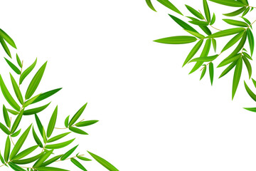 Horizontal frame, border with bamboo branch corners and green leaves. Vector hand drawn illustration. Perfect as web banner, postcard template and invitation for menu design.