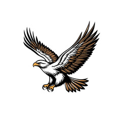 Obraz premium Eagle in Flight