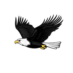 Obraz premium Majestic Bald Eagle in Flight
