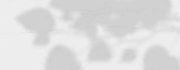 Glare from the sun's rays on the wall. Blurred shadows from leaves and plants in the room. Soft overlay of natural light. Abstract background for product presentation.Natural light layout.