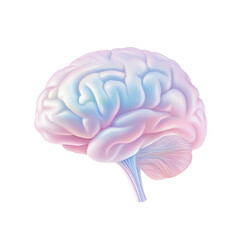 A vibrant illustration of a human brain, showcasing its intricate structure and healthy appearance, perfect for educational content. transparent background