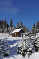 winter in the mountains ukraine