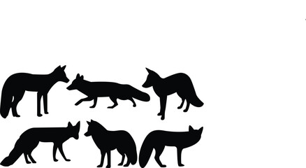 Fox poses in different styles, collection of wild fox 