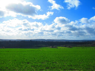 Landscape in Surrey, England 