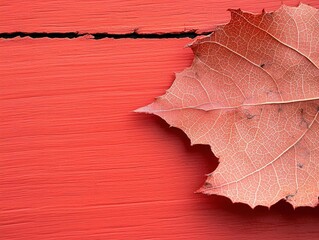 Leaf with bite marks, extreme closeup, natural light, fine details, symbolizing life s imperfections