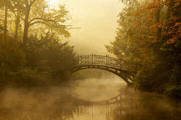 Park Pszczyna, jesienny mglisty krajobraz. Promienie słońca o poranku © Iwona