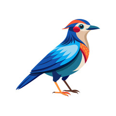 Colorful bird vector illustration 