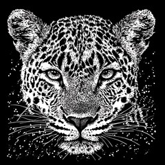 Close-up portrait of a leopard's face in black and white, with a starry background.