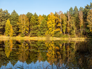 Brandenburg