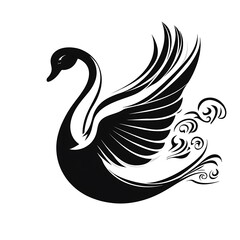 Elegant black swan with wings outstretched, isolated on white background.