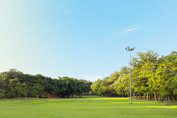 Scenic view of the park with green grass field and a blue sky in the evening. Beautiful green park