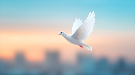 A white peace dove flying against a blue sky above a middle east city