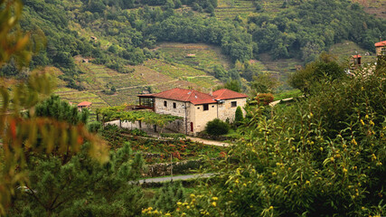 Bodega en la Ribeira Sacra