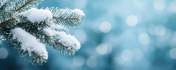 Close-up of a pine needle cluster with snow, with a softly blurred winter landscape, Snow on pine needles with winter landscape background, Cool and serene