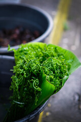 Fiddlehead fern or Pako being sold in the street of Liliw Laguna.