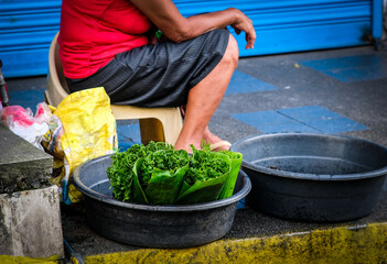 Fiddlehead fern or Pako being sold in the street of Liliw Laguna.