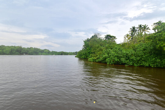 Scenery of Bentota River in Sri Lanka