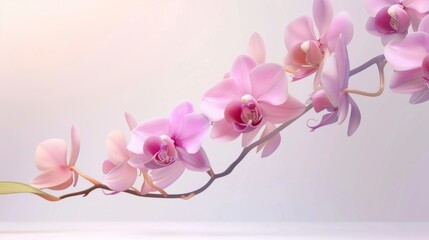 Pink Orchid Flower Branch: Delicate Beauty in Bloom