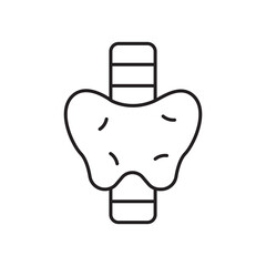 Thyroid icon simple black line style.