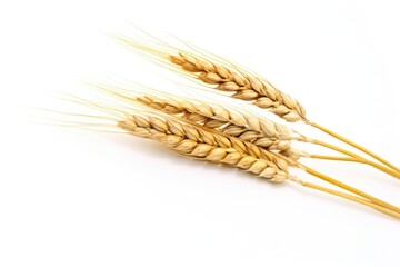 Fototapeta premium Wheat grain food white background.