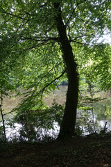 Jacobiweiher bei Frankfurt