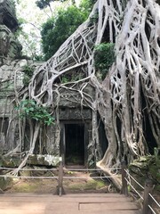 Kambodscha, Tempel