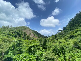 Fototapeta premium green forest and sky providence island 